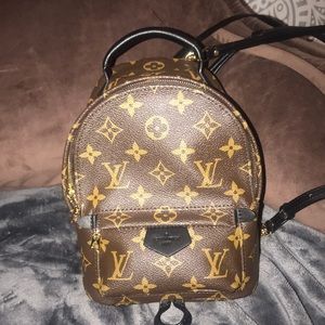 Louis Vuitton Palm Springs Backpack Mini Monogram